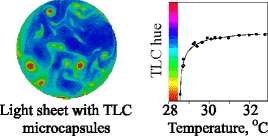 TLC calibration curve and sample image